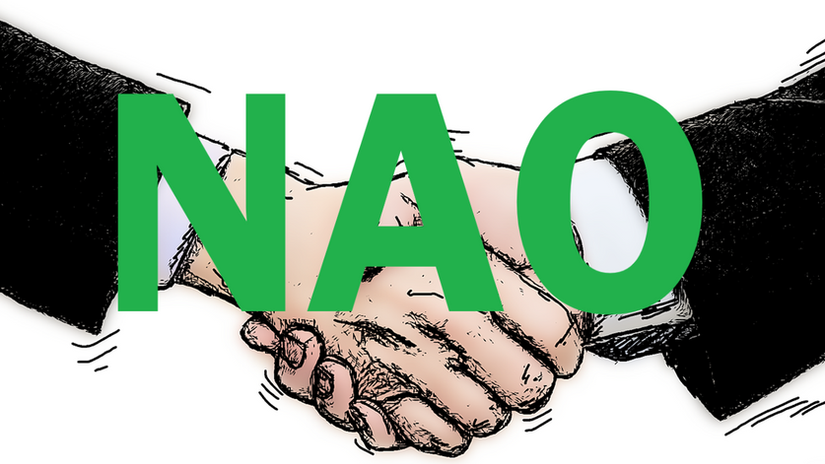 QU'EST-CE QUE LES NAO ?
